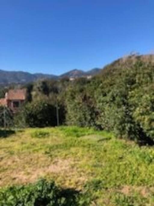 Villa En Corse Du Sud Entre Mer Et Montagne Peri Eksteriør bilde